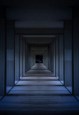 A dramatic view of a modern hallway with symmetrical columns creating an infinite perspective.